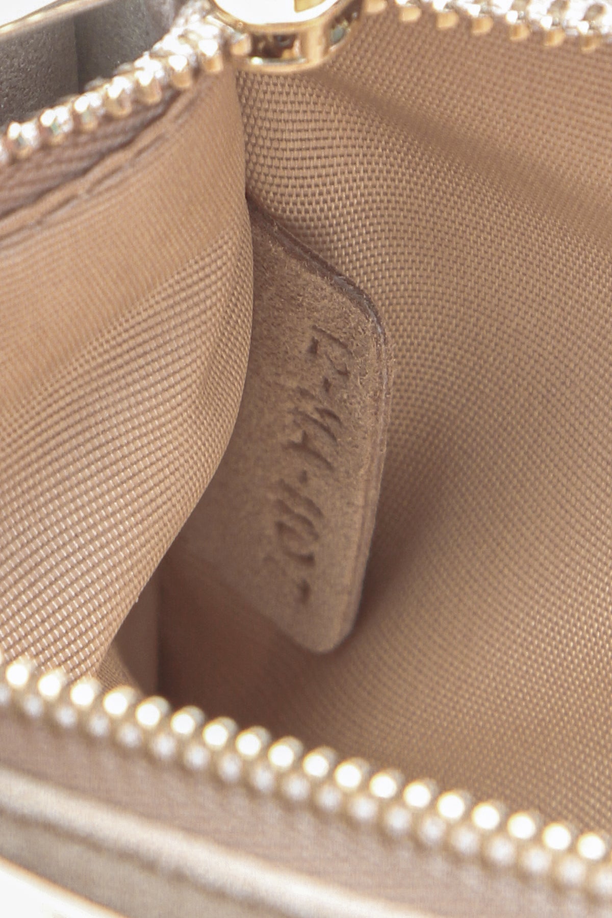 Diorama Wallet on a Chain Bag - Nude