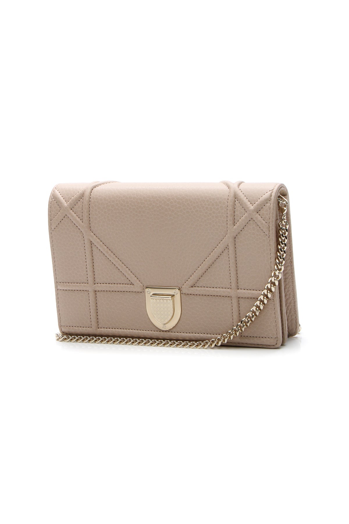 Diorama Wallet on a Chain Bag - Nude